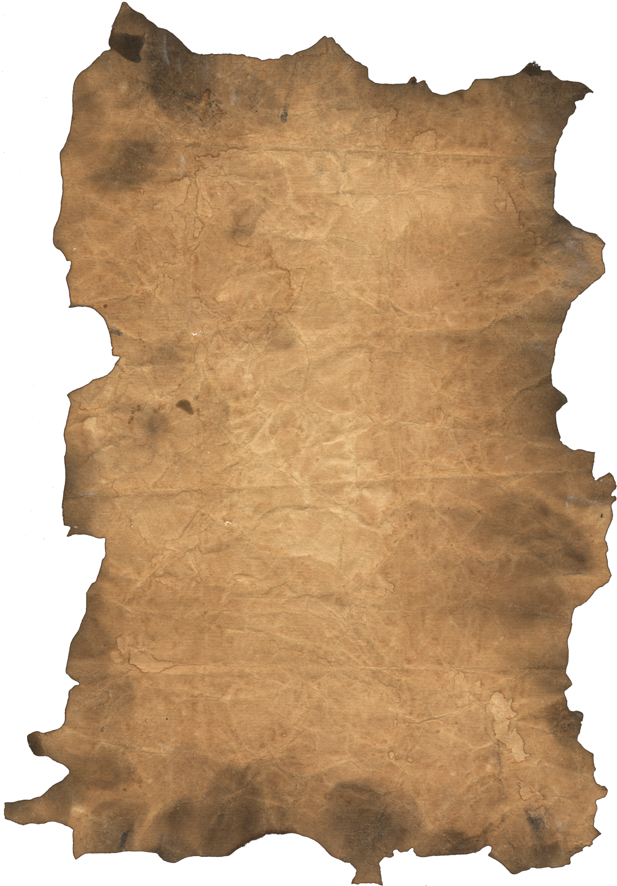 Burn Paper PNG Isolated Pic