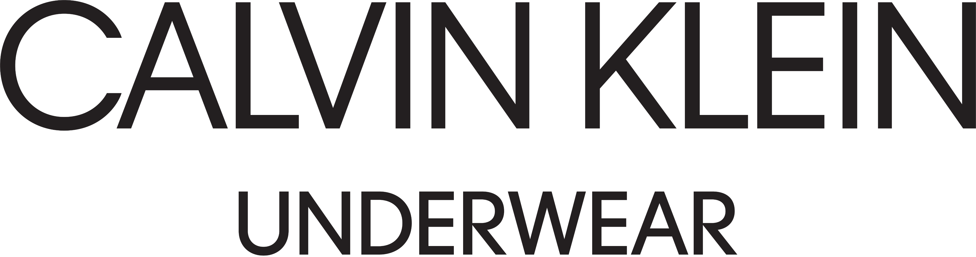 Calvin Klein Logo PNG Free Download