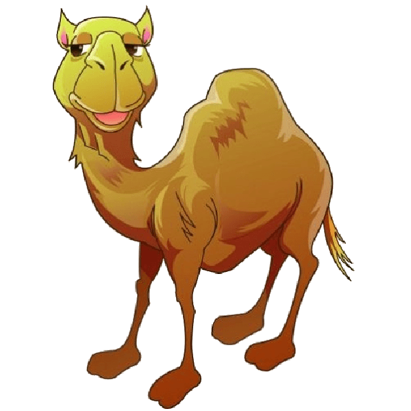 Camels PNG Free Download