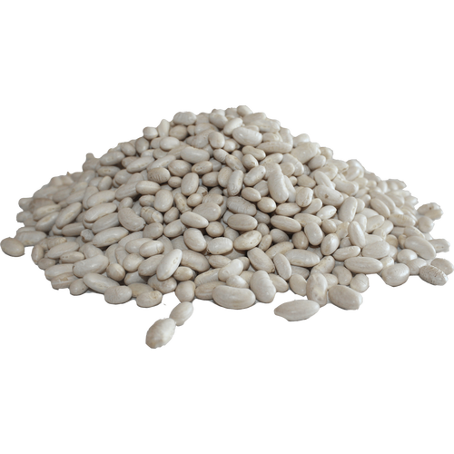 Cannellini Beans PNG HD