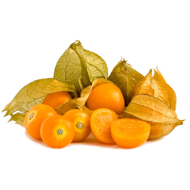 Cape Gooseberry PNG Image