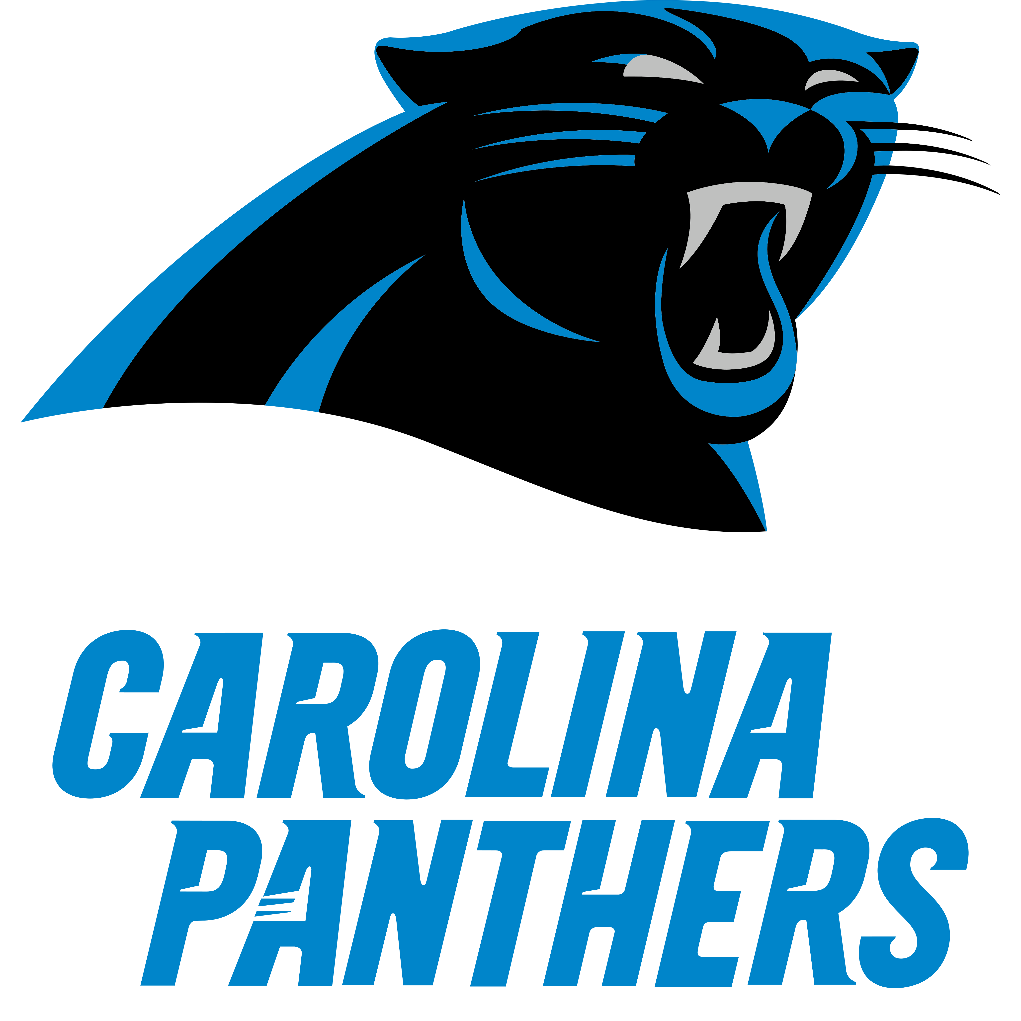 Carolina Panthers PNG File