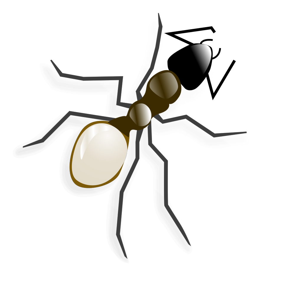 Carpenter Ant PNG Photo