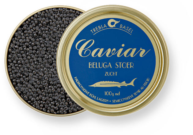 Caviar PNG File