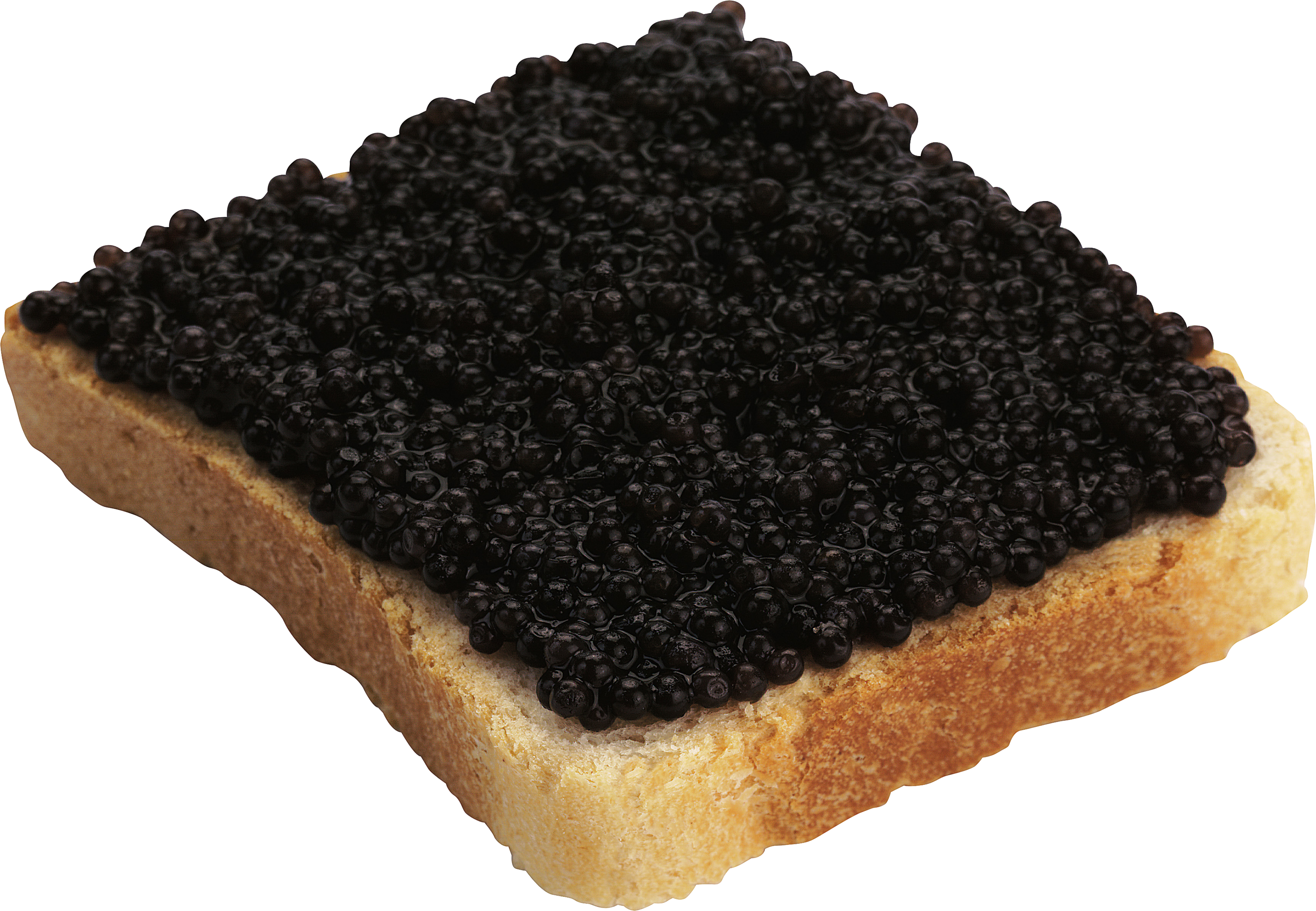 Caviar PNG Isolated HD
