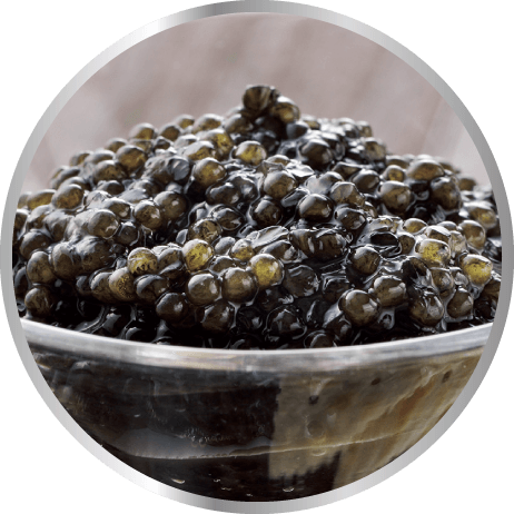 Caviar PNG Isolated Pic