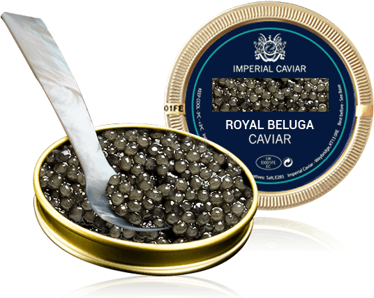 Caviar PNG Transparent