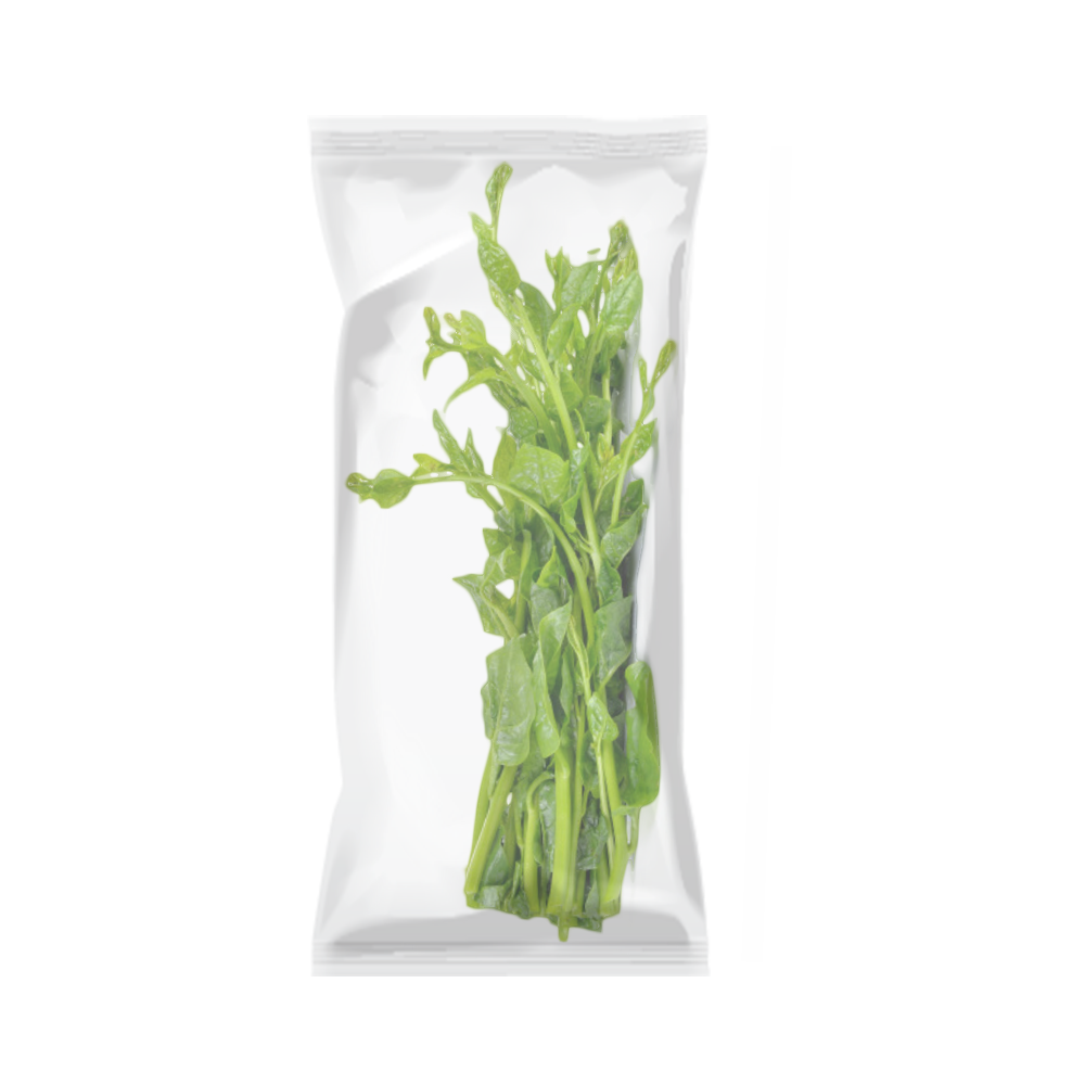 Ceylon Spinach PNG File