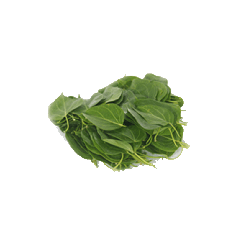 Ceylon Spinach PNG Picture