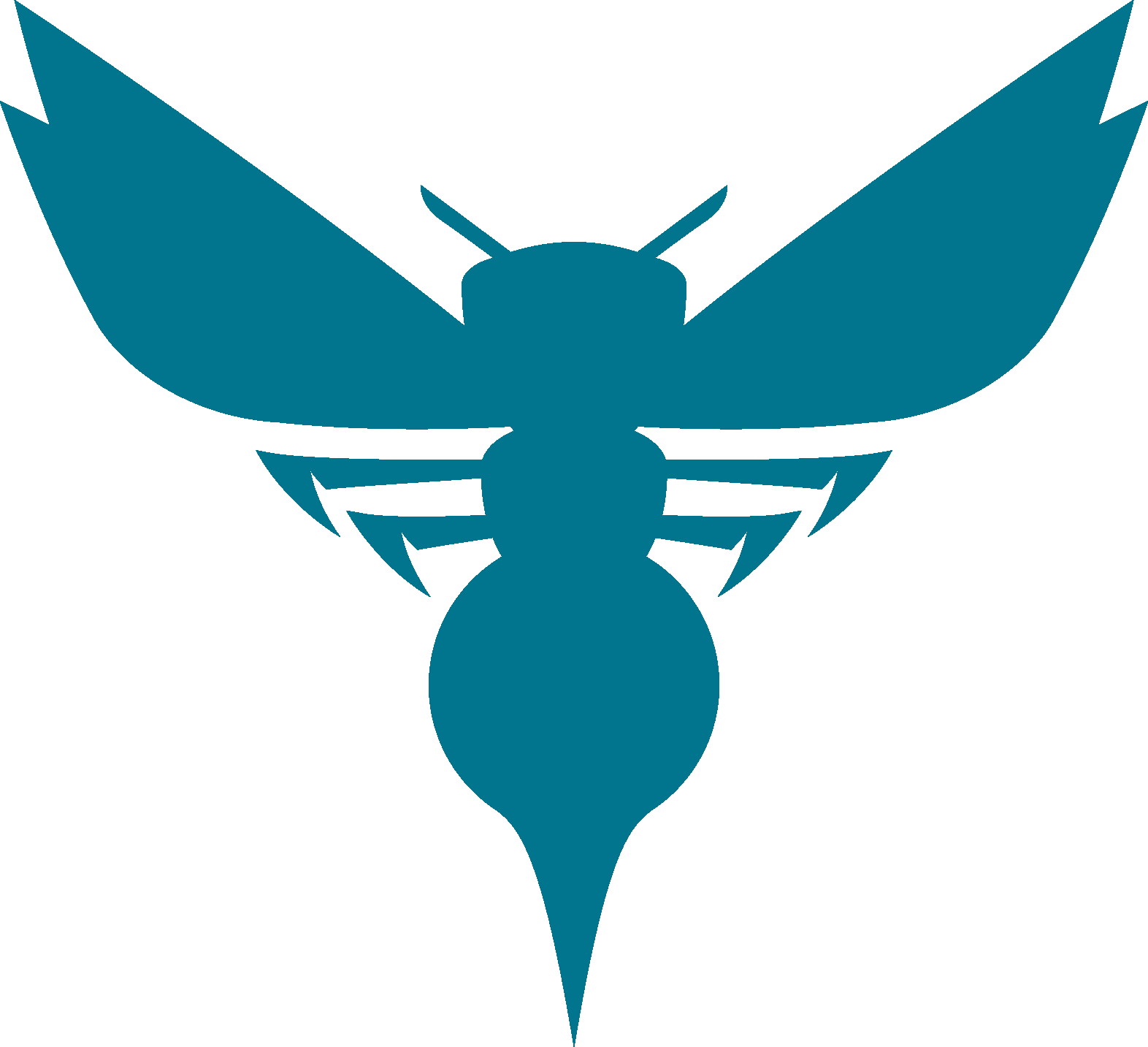 Charlotte Hornets PNG Picture