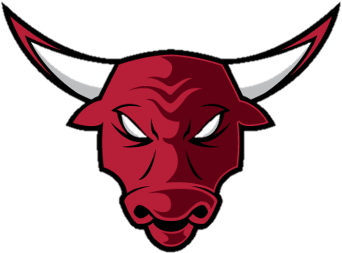 Chicago Bulls Download PNG Image