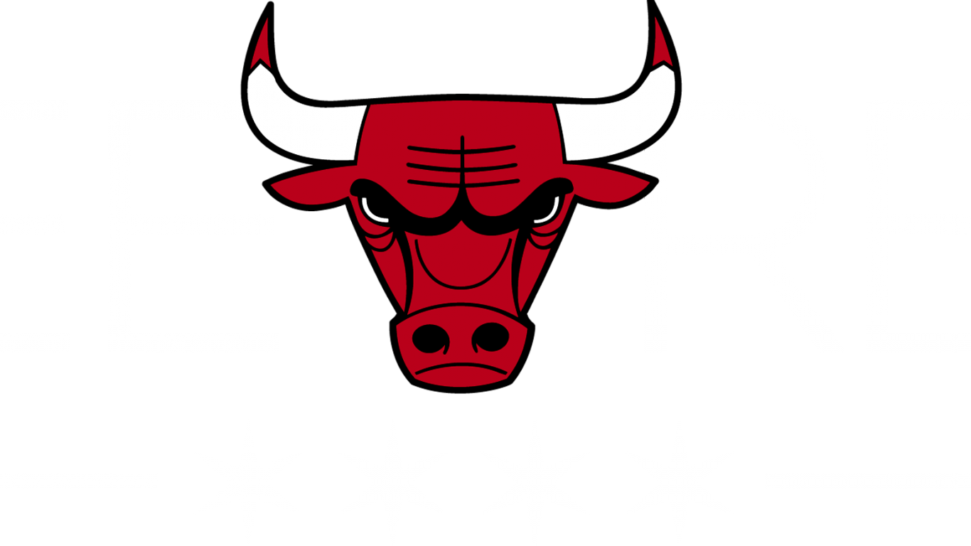 Chicago Bulls PNG Isolated Photo