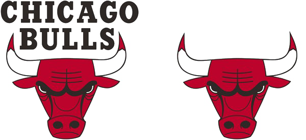 Chicago Bulls PNG Isolated Pic