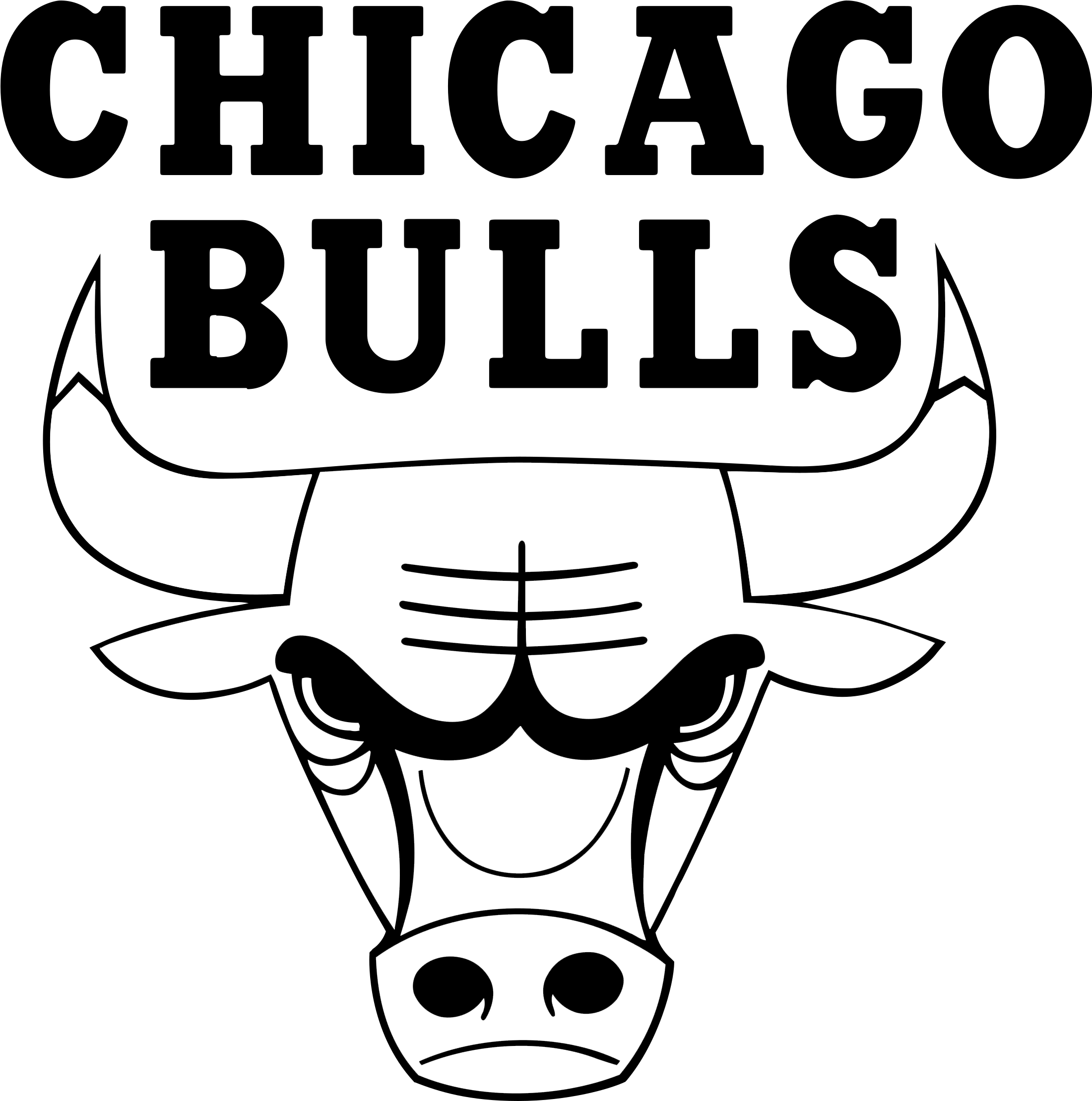 Chicago Bulls PNG Pic