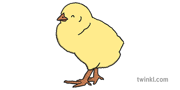 Chick PNG Isolated HD