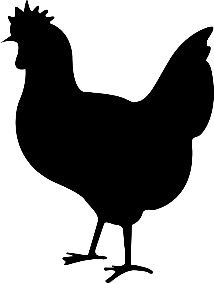 Chicken Bird PNG Free Download