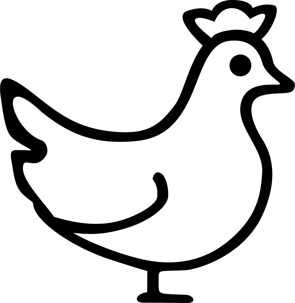 Chicken Bird PNG Image