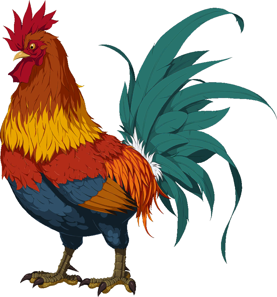 Chicken Bird PNG Isolated Photo