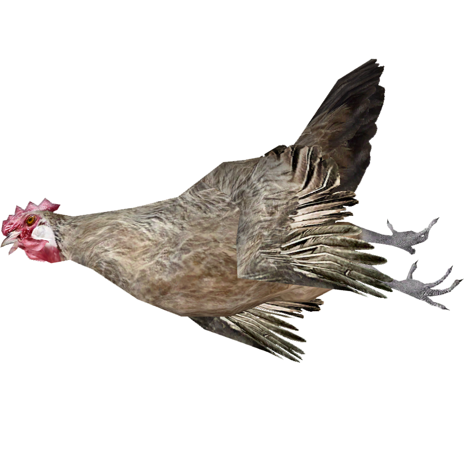 Chicken Bird PNG Isolated Transparent HD Photo