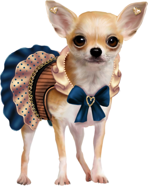 Chihuahua PNG HD Isolated