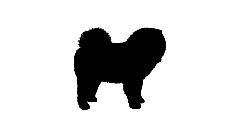 Chow Chow PNG Free Download