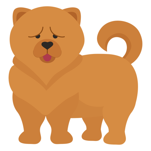 Chow Chow PNG HD Isolated