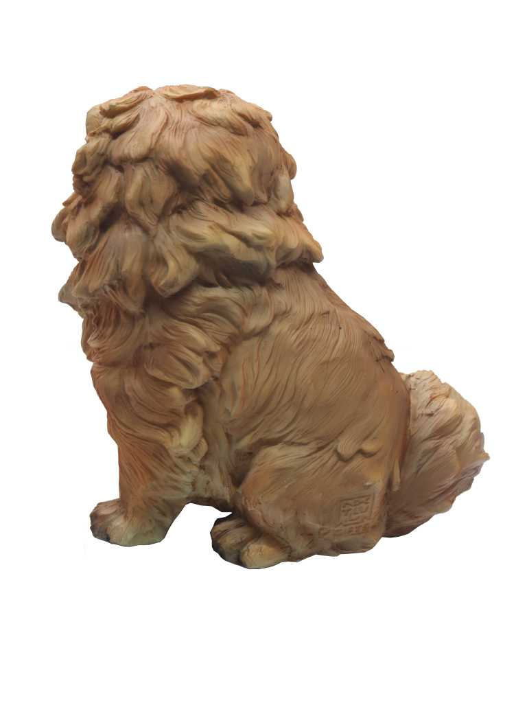 Chow Chow PNG HD