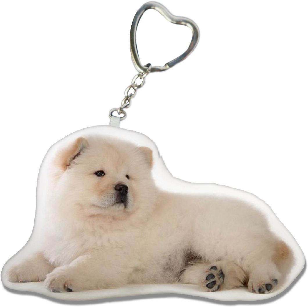 Chow Chow PNG Isolated HD