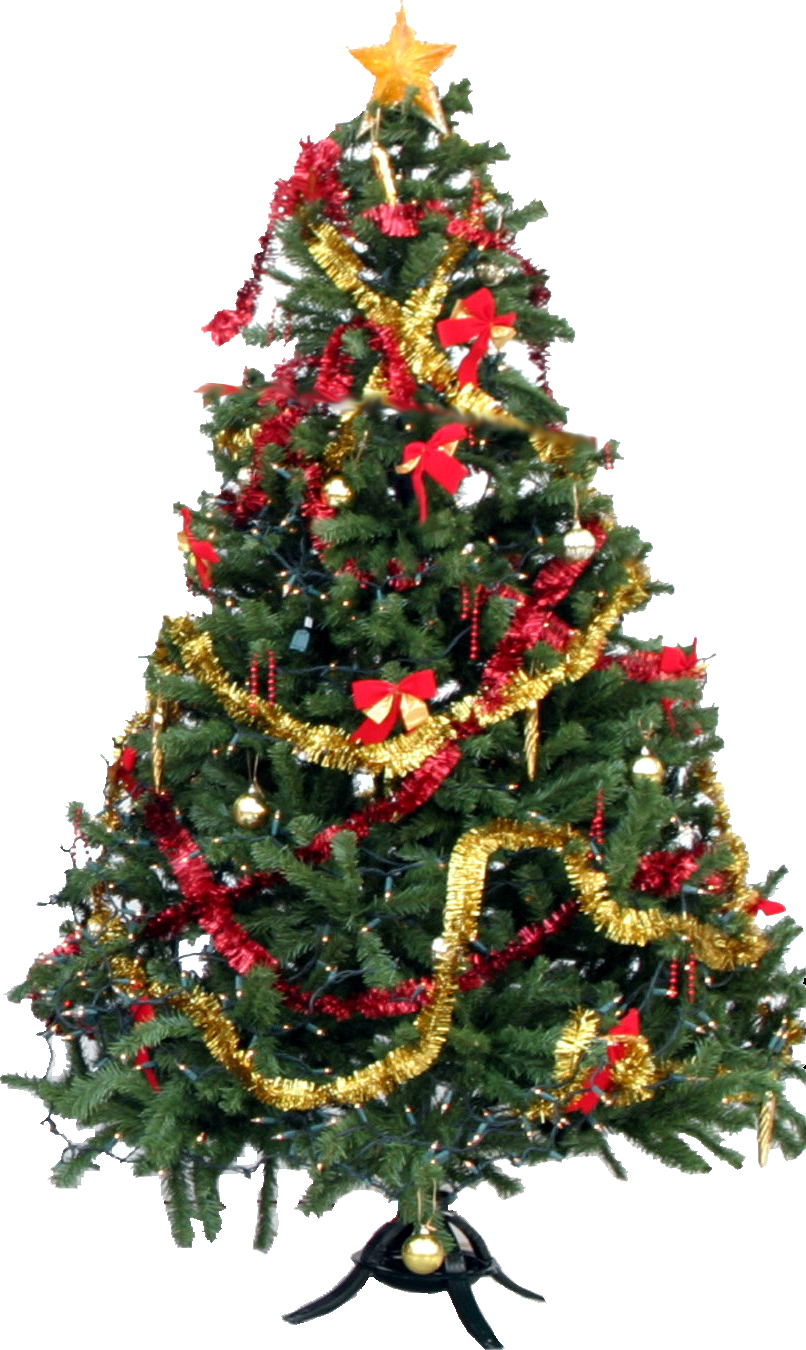 Christmas Tree Download PNG Isolated Image