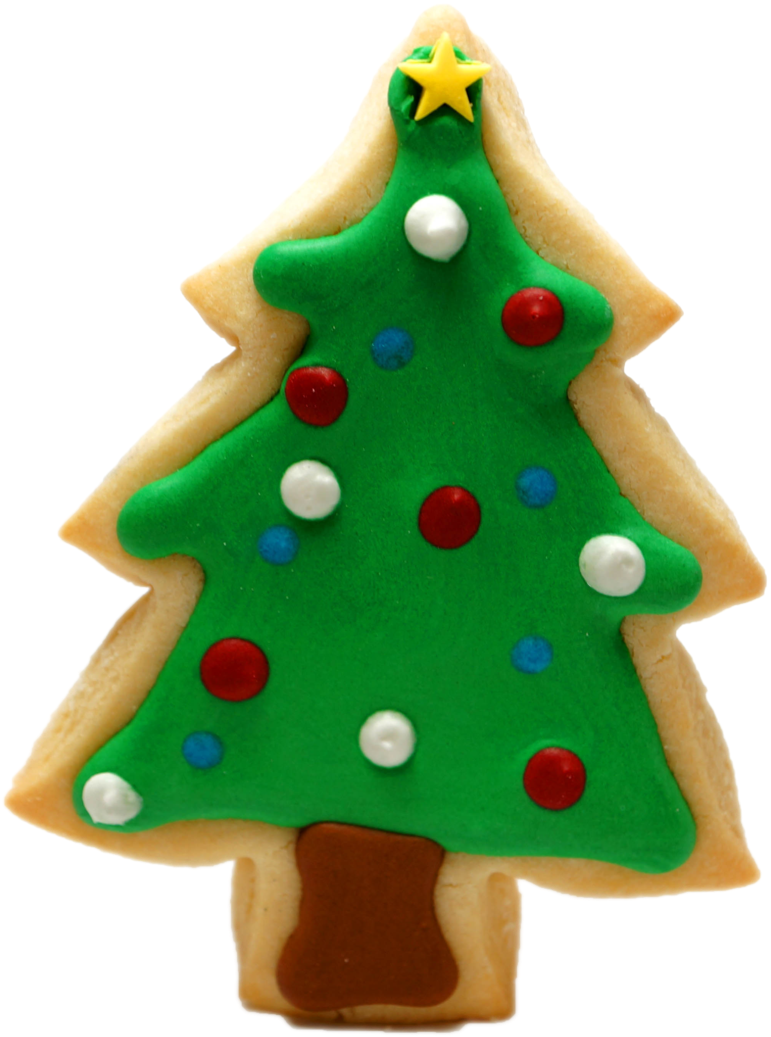 Christmas Tree PNG Isolated Image