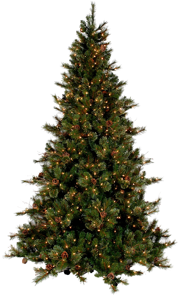Christmas Tree PNG Isolated Photo