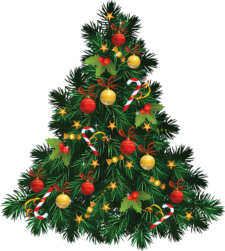Christmas Tree PNG Isolated Transparent Image