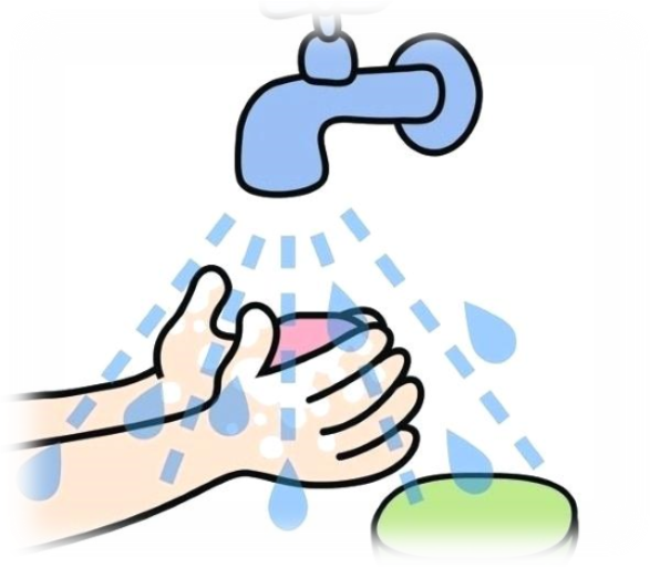 Clean Hands PNG Image