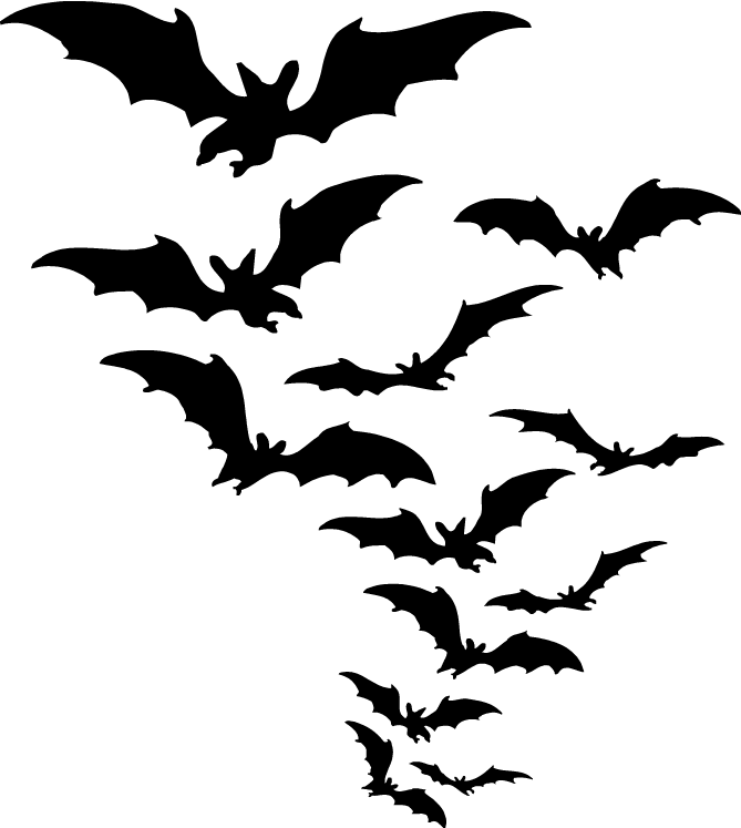 Clipart Bat PNG File