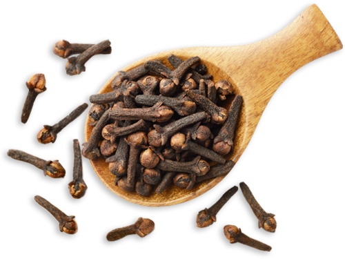 Clove PNG Isolated Image