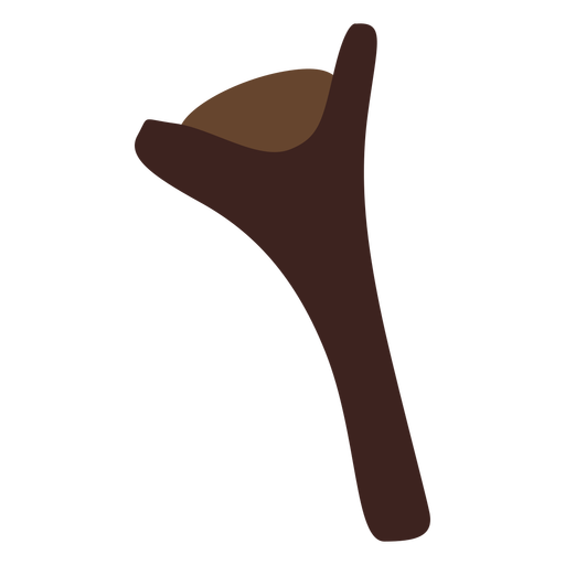 Clove PNG Picture