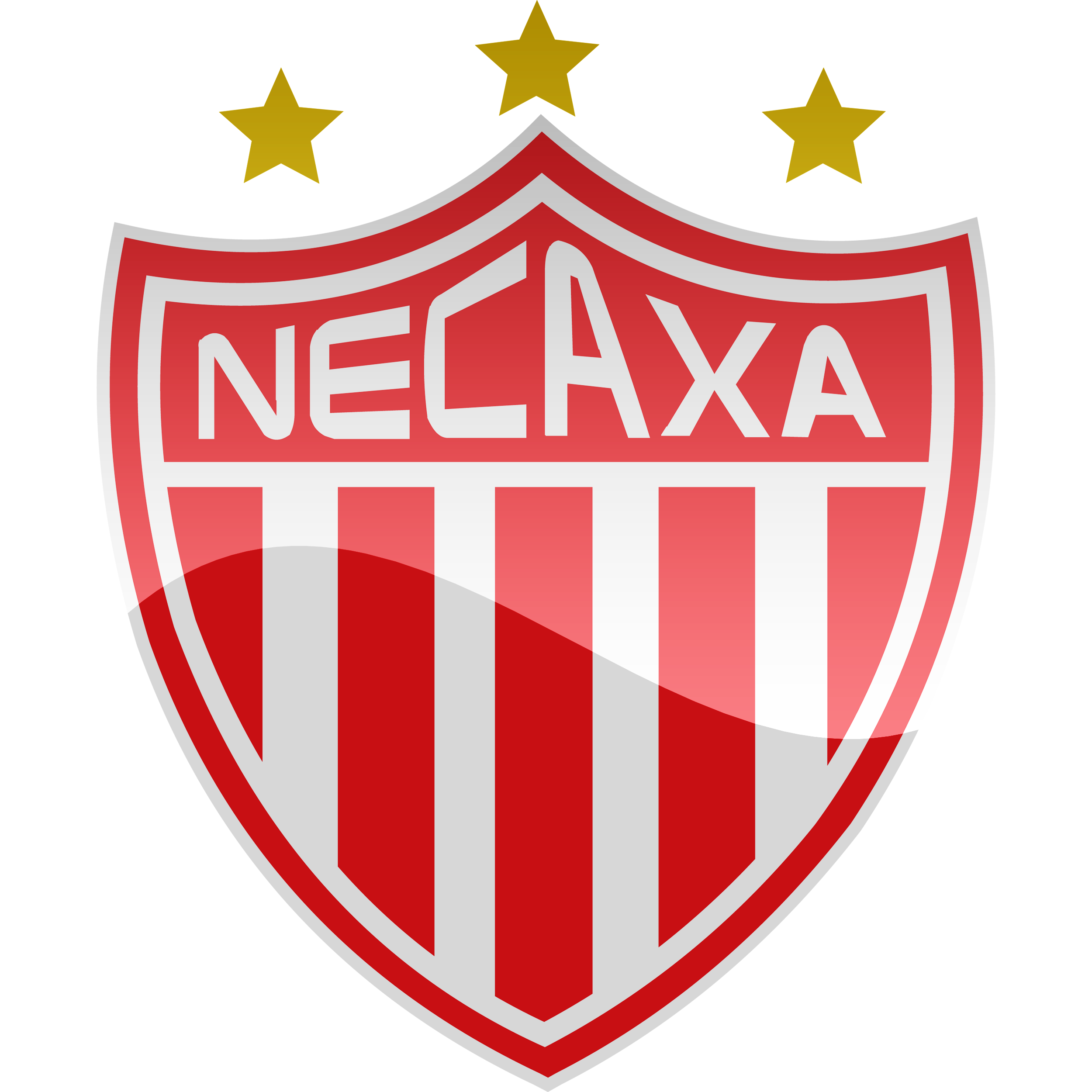 Club Necaxa PNG
