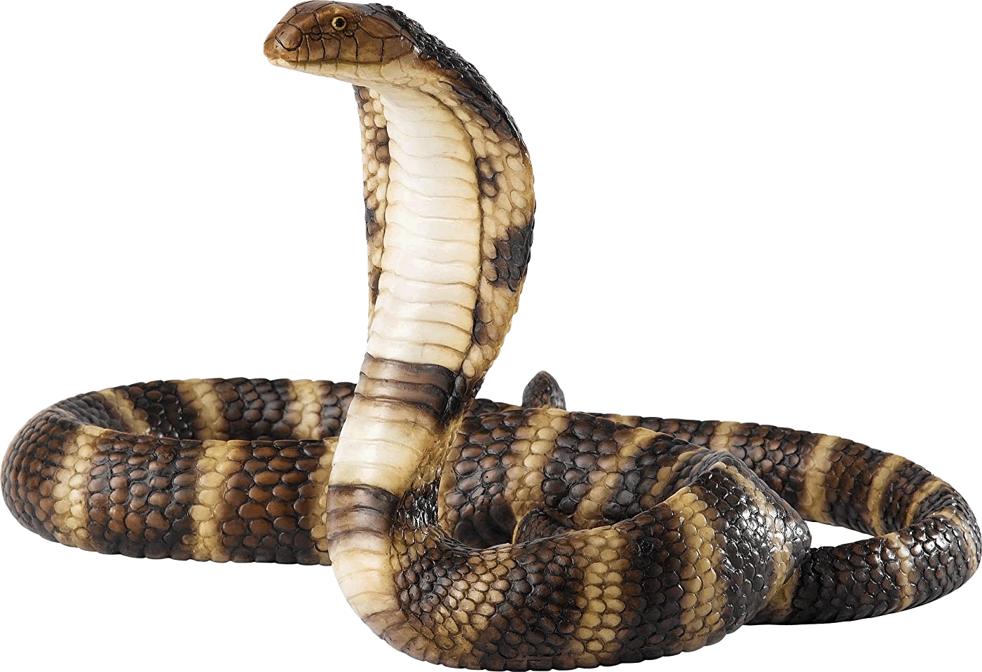 Cobra PNG Clipart