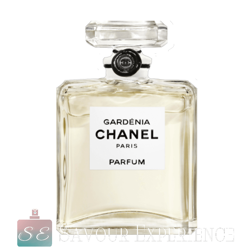 Coco Chanel PNG Photo
