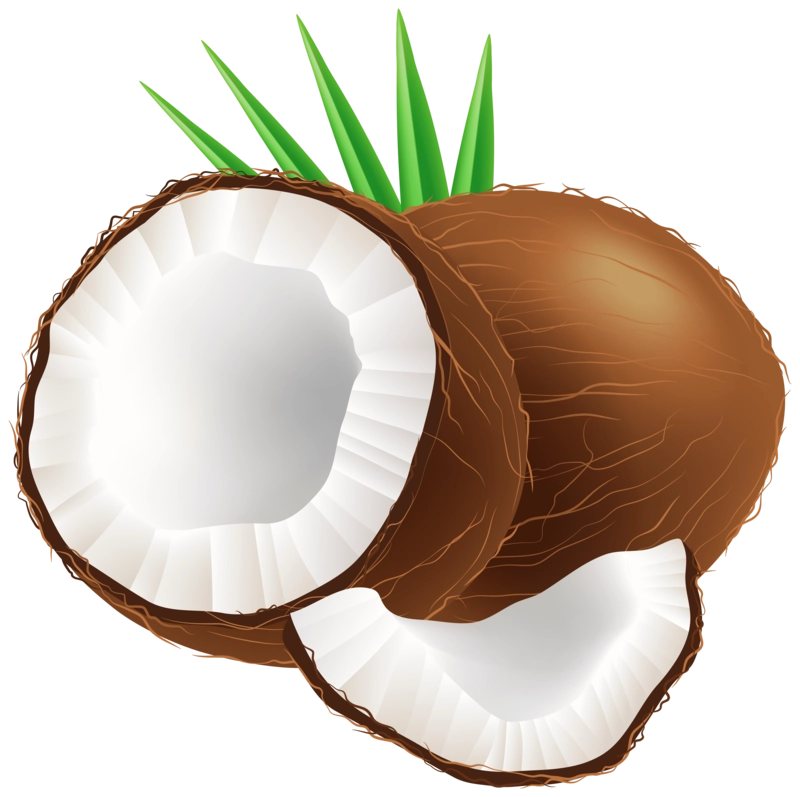 Coconut milk PNG Clipart