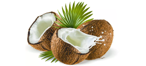 Coconut milk PNG Photo