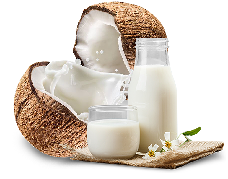 Coconut milk PNG Pic