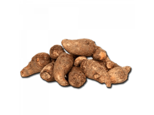 Colocasia Root PNG Clipart