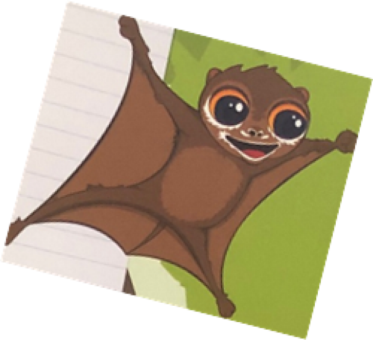 Colugos PNG HD Isolated