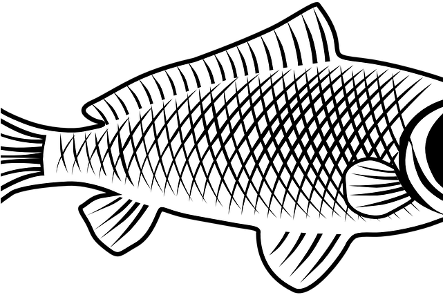 Common Carp PNG Isolated File