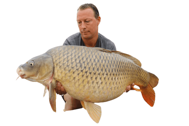 Common Carp PNG Isolated HD