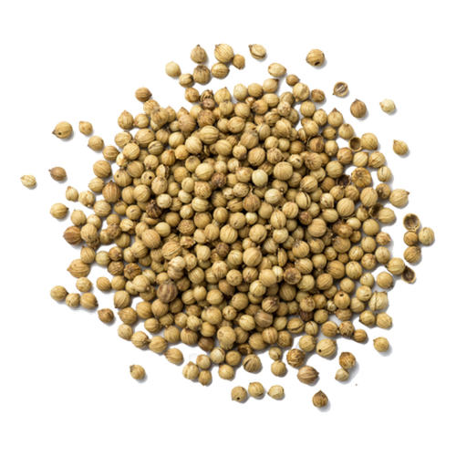 Coriander PNG Isolated Photo