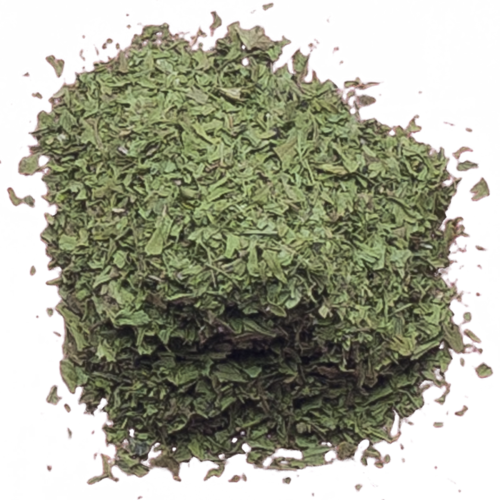Coriander PNG Isolated Pic