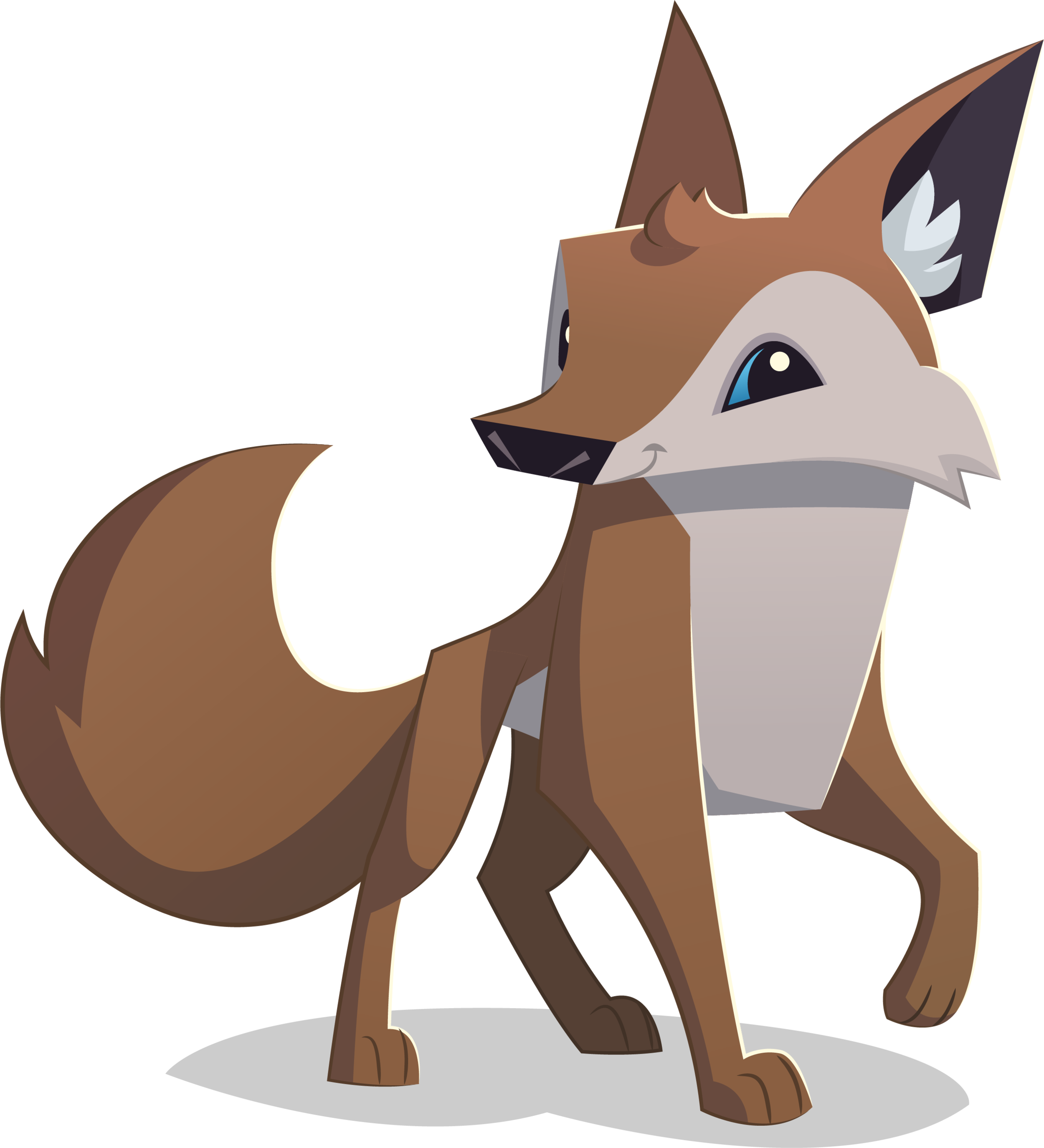 Coyote PNG HD Isolated
