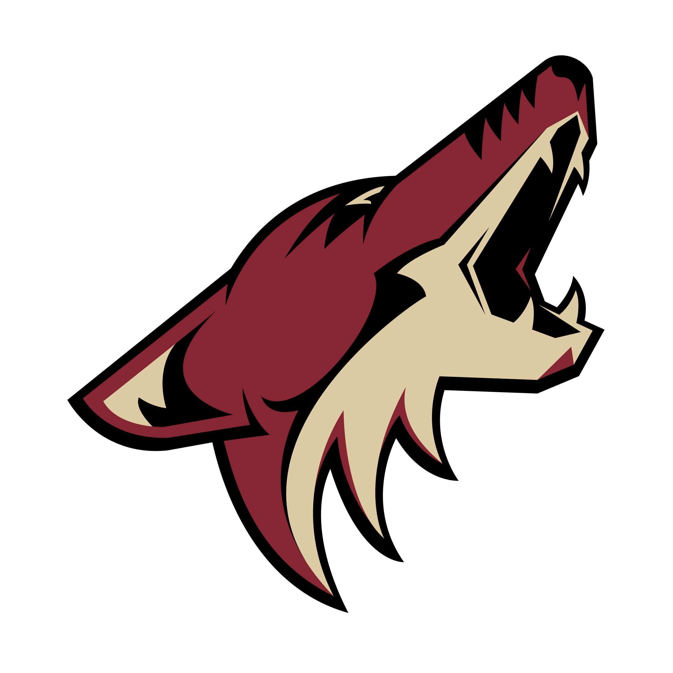 Coyote PNG Isolated Image